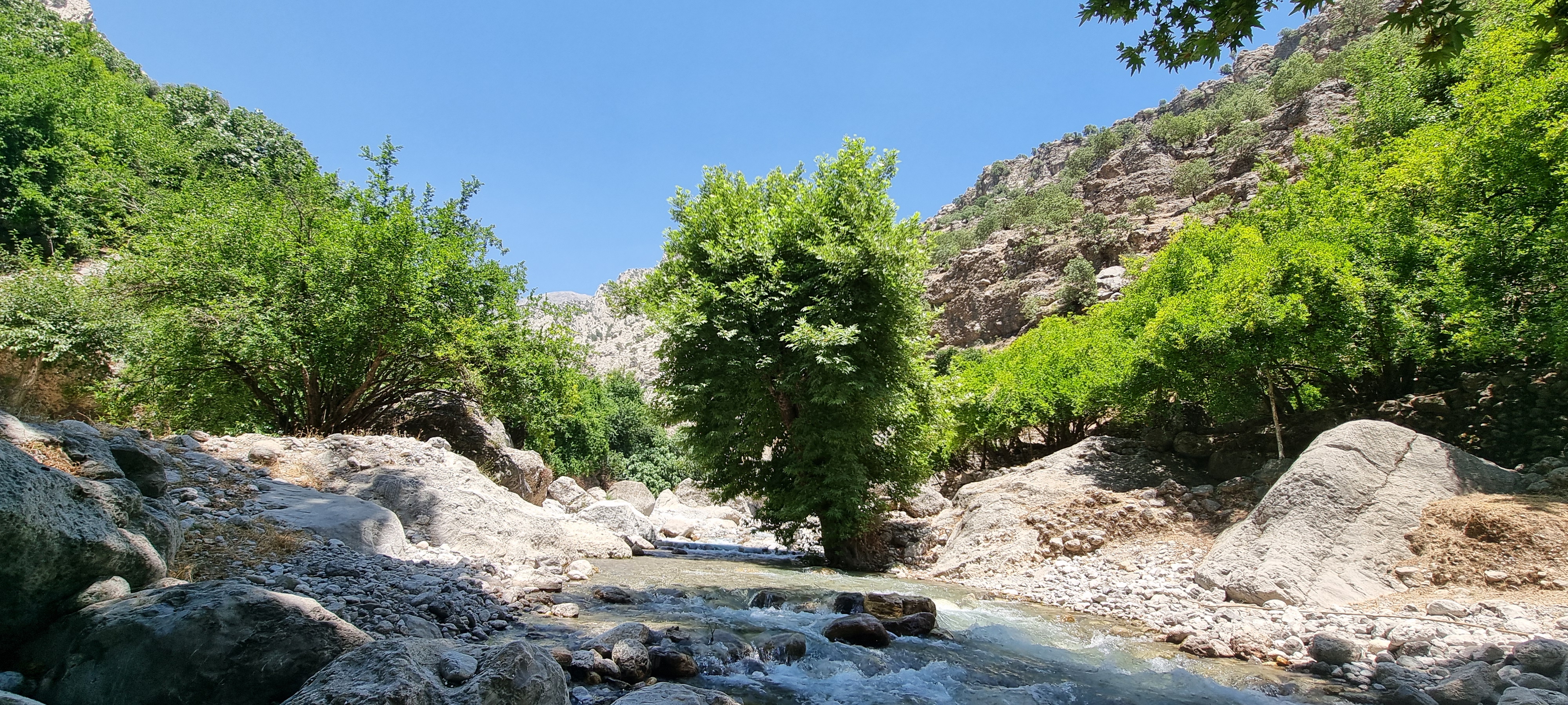 روستای باغات للر
