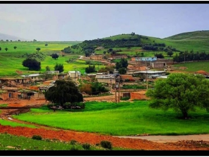 چشمه حقی