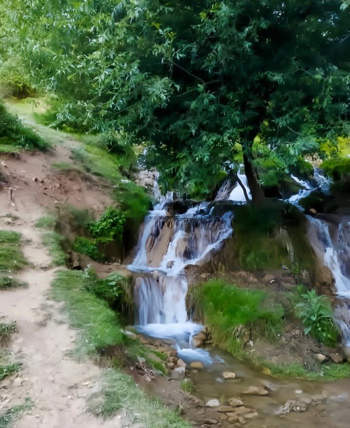 لرگان نوشهر