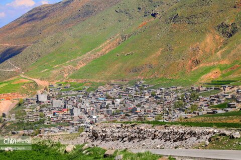 موئیل