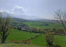 سیدمیران