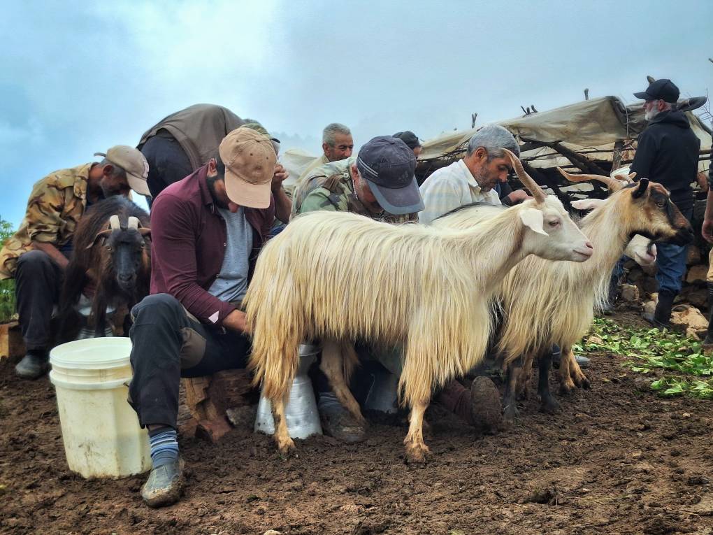 آیین دودوش