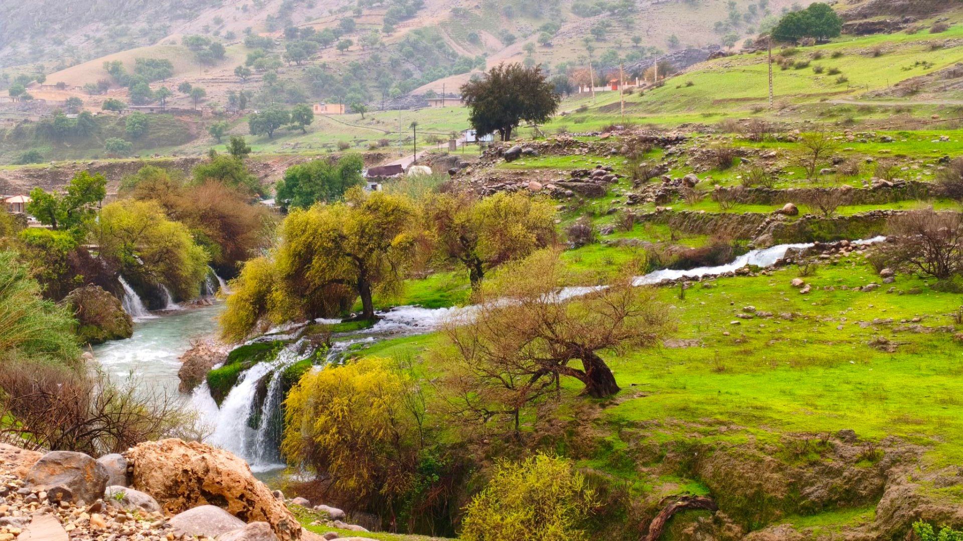 زنگلاب آب دلی