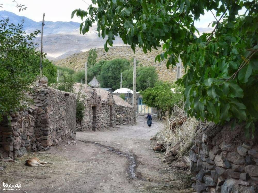 زاروکی